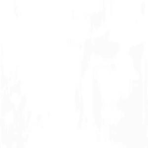 TP-LINK ARCHER AX72 : Routeur WiFi 6 Bi-Bande AX5400 / 04 ports Gigabit + 01 Port Wan Gigabit / USB 3.0 / 6 Antennes